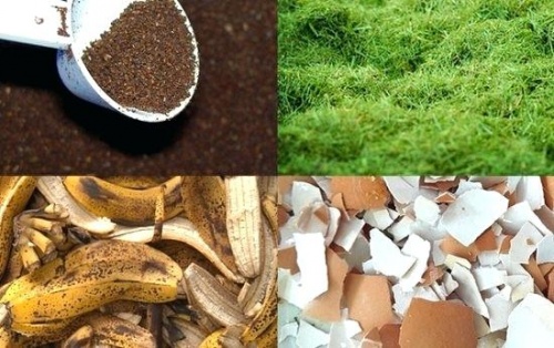 Как правильно применять минеральные и органические удобрения